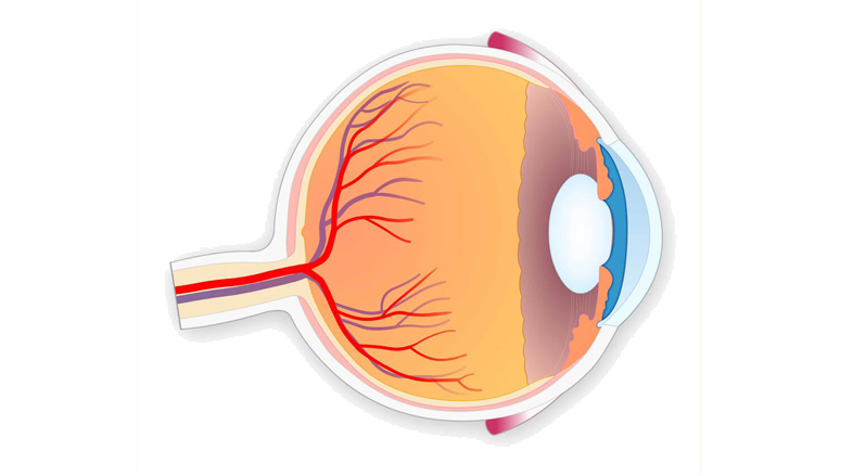 chirurgie restaurativă pentru restabilirea vederii invata vederea